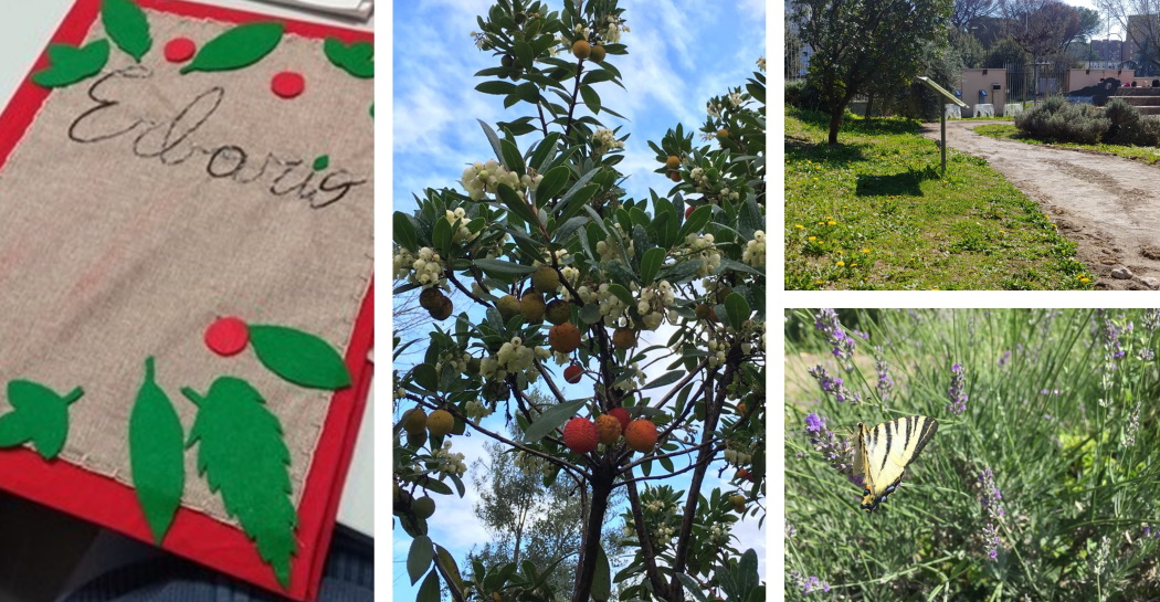 L’Erbario utilizzato per il laboratorio (a sx); piante edibili presenti nel Giardino Pleistocenico del Museo di Casal de’ Pazzi (al centro e a dx)