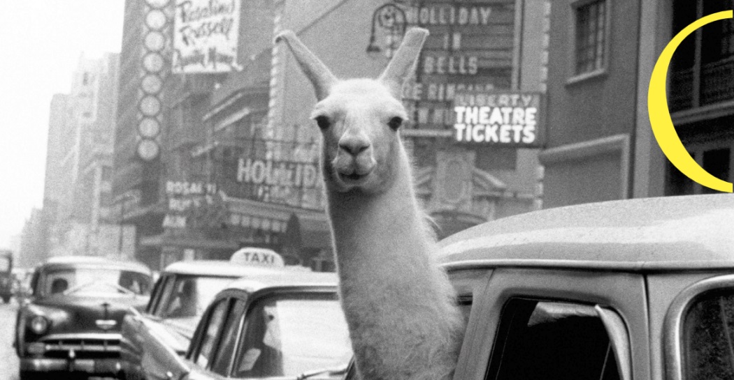 Inge Morath. La vita. La fotografia. Inge Morath. La vita. La fotografia.