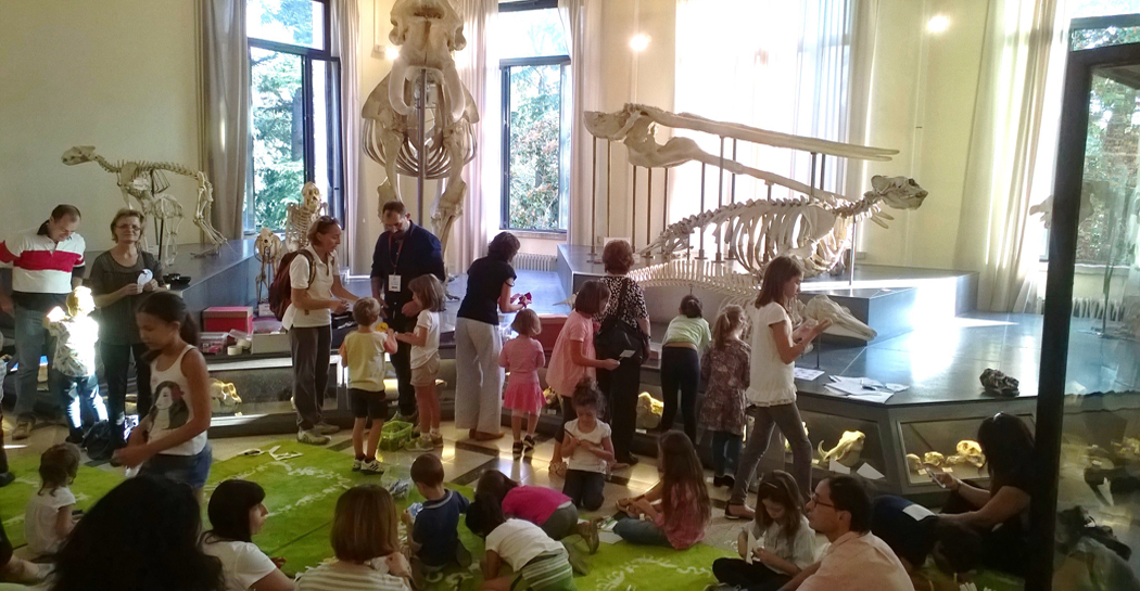 Famiglie al museo di Zoologia