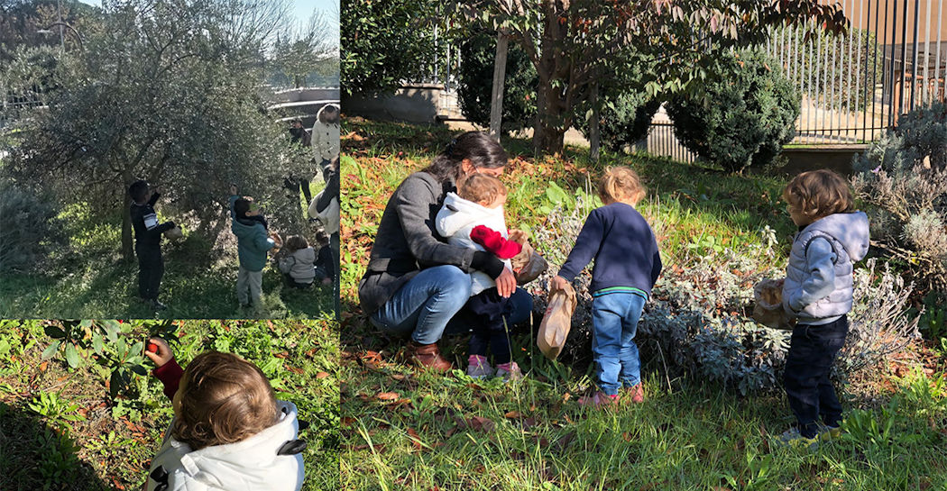Bambini e adulti raccolgono olive, corbezzoli ed erbe aromatiche nel “Giardino Pleistocenico” del Museo di Casal de’ Pazzi Bambini e adulti raccolgono olive, corbezzoli ed erbe aromatiche nel “Giardino Pleistocenico” del Museo di Casal de’ Pazzi