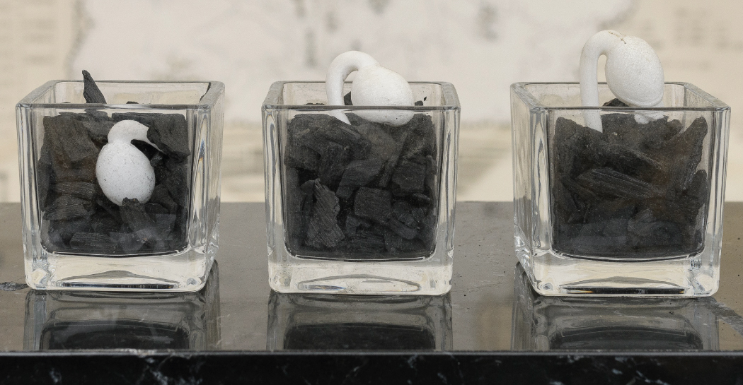 Silvia Scaringella. Deus sive natura