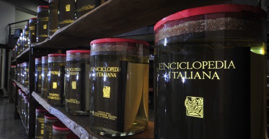 Benedetto Marcucci, Treccani Sottolio, 2010