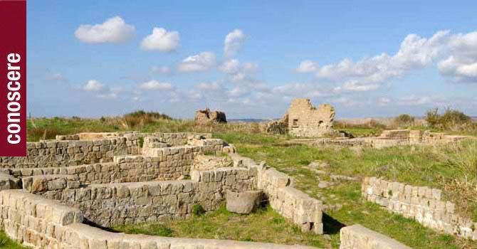 Veduta dell’area archeologica di Leopoli - Cencelle