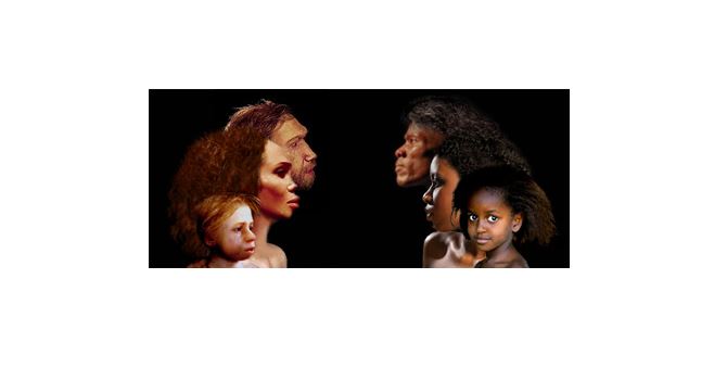Due famiglie a confronto: Neanderthal vs Sapiens