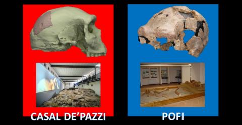 “Intervista doppia” tra il Museo di Casal de’ Pazzi e la ricostruzione del cranio di H. heidelbergensis a partire dal frammento rinvenuto sul sito (a sx) e il Museo di Pofi con il suo cranio ominino, detto “Argil” (a dx)
