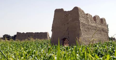 I Giganti gentili - Architettura e antropologia delle torri colombaie della provincia di Esfaha